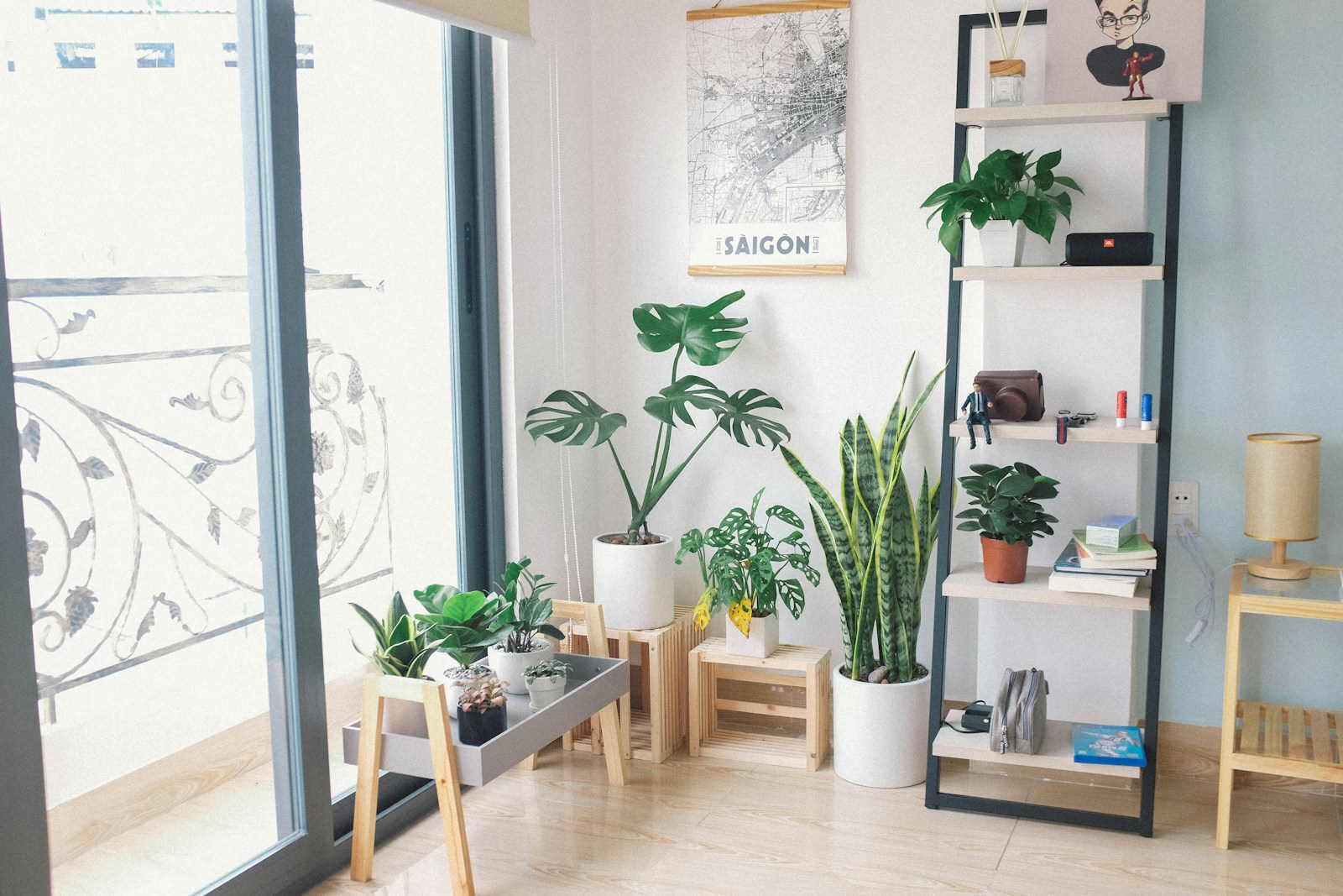 Photo by Huy Phan Swiss variety of plants in pots inside house